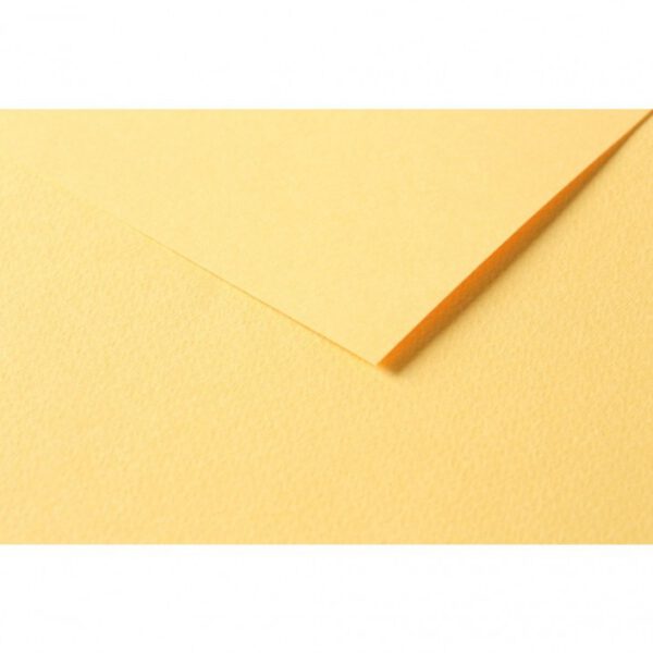 RR Папір д/пастелі 160гр др.зерно 100%цел. Tulipe Clairefontaine 50х65см ЛЮТИК