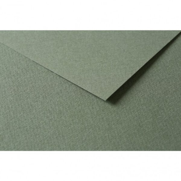 RR Папір д/пастелі 160гр др.зерно 100%цел. Tulipe Clairefontaine 50х65см ЗЕЛЕНИЙ ОКЕАН