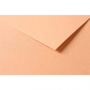 RR Папір д/пастелі 160гр др.зерно 100%цел. Tulipe Clairefontaine 50х65см ЛОСОСЕВИЙ