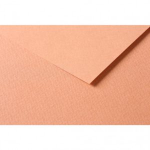 RR Папір д/пастелі 160гр др.зерно 100%цел. Tulipe Clairefontaine 50х65см ІРЖА