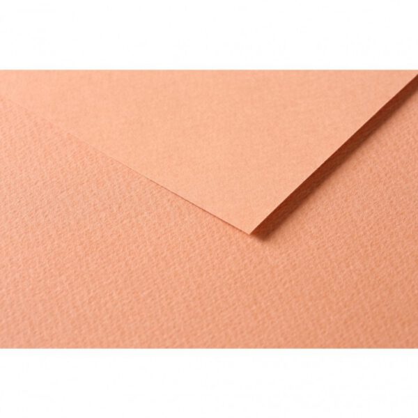 RR Папір д/пастелі 160гр др.зерно 100%цел. Tulipe Clairefontaine 50х65см ІРЖА