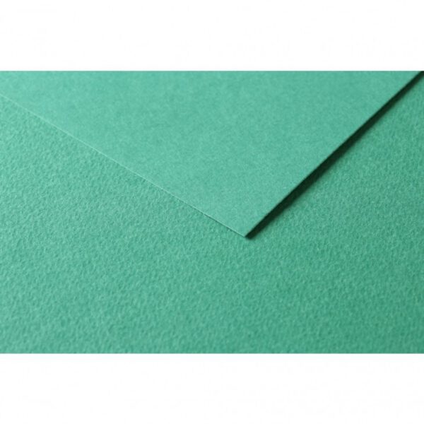 RR Папір д/пастелі 160гр др.зерно 100%цел. Tulipe Clairefontaine 50х65см ЗЕЛЕНИЙ ТЕМНИЙ