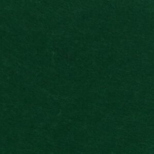 RR Фетр виробний жорсткий 21x30см ТЕМНО-ЗЕЛЕНИЙ