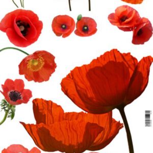 16.10 Декупажна карта(лазерн.друк) 29,5х42 "Маки"