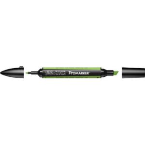 !Нет скидок ProMarker перм.прозор.на спирт.осн.двосторонн.(кругл/скошен.) W&N ЗЕЛЕНЕ ЛИСТЯ G258