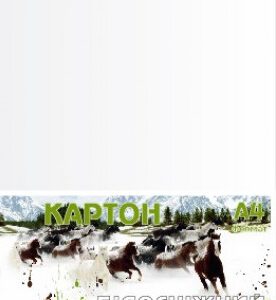 Картон мелованный 250г  21х29,7 БЕЛОСНЕЖНЫЙ