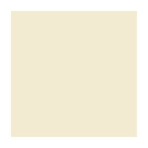 Картон 300г Folia 70х100см БЕЖЕВИЙ 08