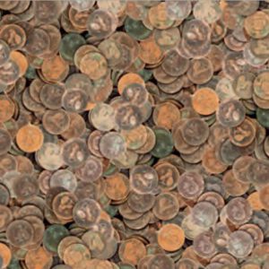 RR п Картон дизайнерский кольоровий 300г 20х30см МОНЕТЫ